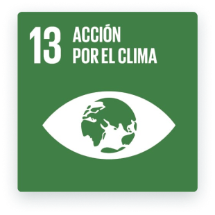 13 - Acción por el Clima