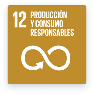 12 - Producción y Consumos Responsable